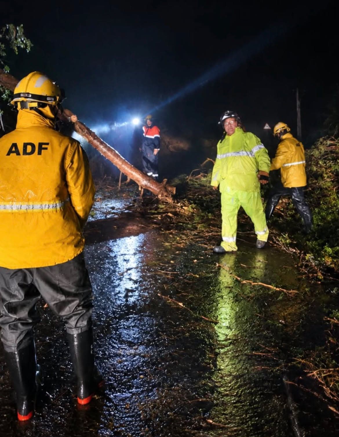 Retirat un arbre que havia caigut a la carretera de Santa Maria a causa de la pluja